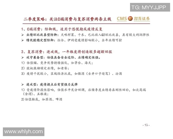 成都排球队防守策略解析与战术创新探讨